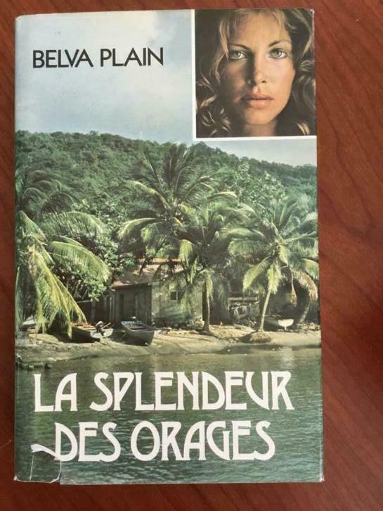 LA SPLENDEUR DES ORAGES.   BELVA PLAIN.  EN FRANCAIS, Nieuw