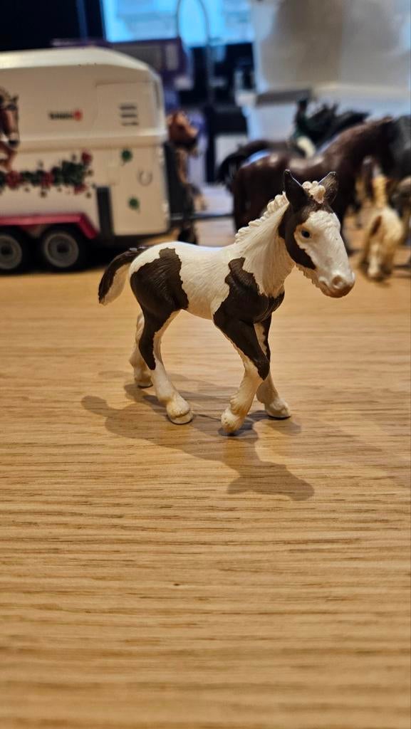 Schleich horse club Tinker veulen, Ophalen of Verzenden, Zo goed als nieuw