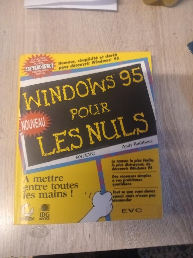 Windows 95 voor dummies, Computers en Software