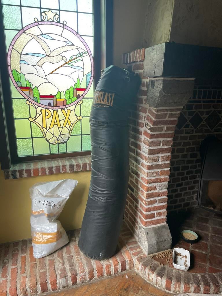 Everlast boks zak 50 kg +, Ophalen, Gebruikt, Overige materialen, Overige typen