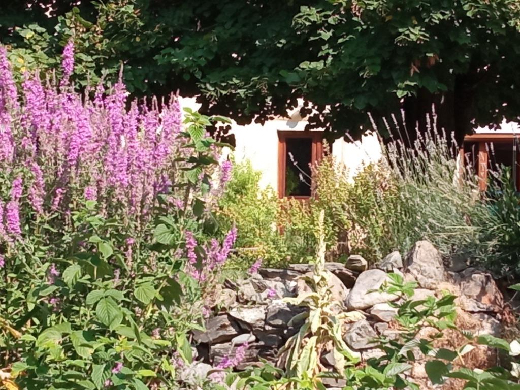 Authentiek, comfortabel en ecologisch huis in de Pyreneeën, Immo, Buitenland, 184 m², Dorp, Woonhuis, Pyrénées centrales aux portes de l'Espagne