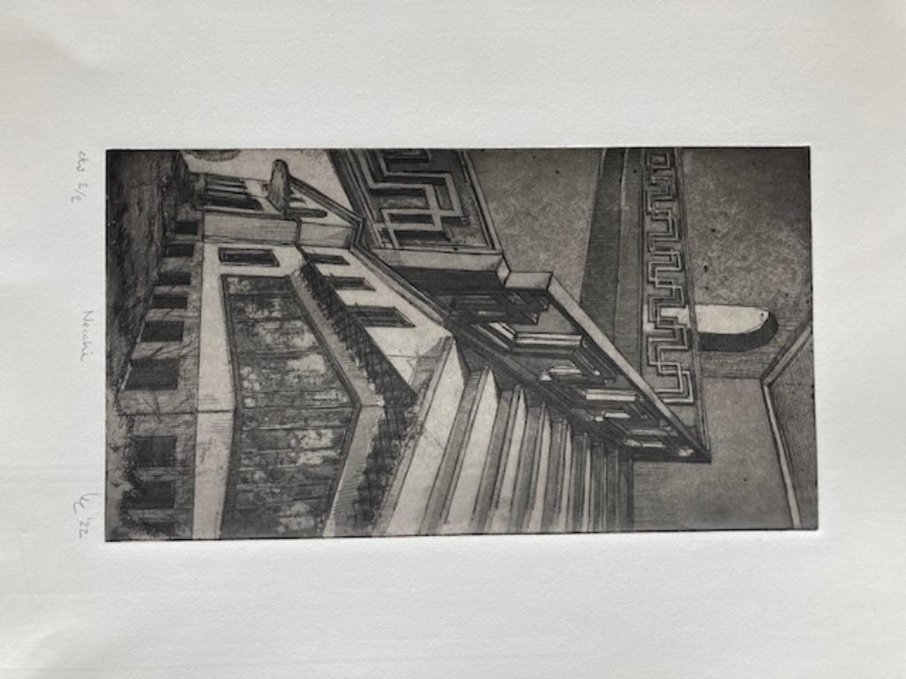 ets grijswaarden 40cm/25cm, Antiek en Kunst, Kunst | Etsen en Gravures, Ophalen of Verzenden