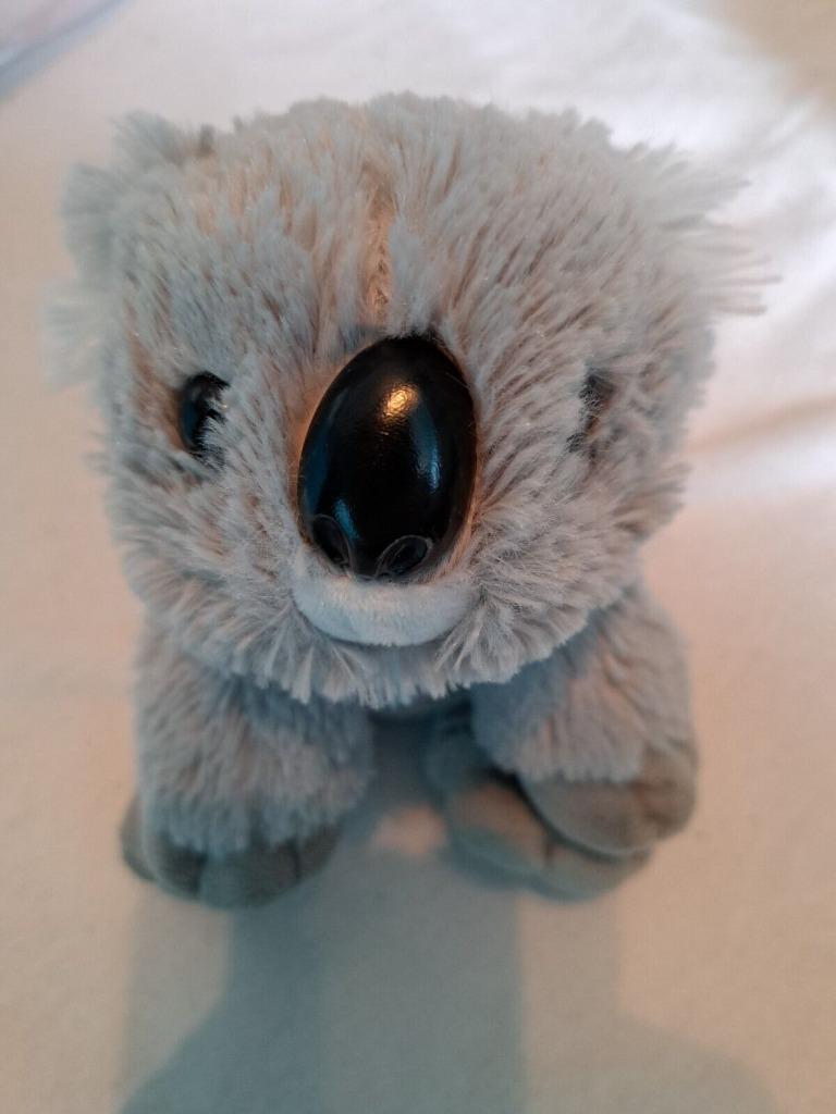 kleine pluche knuffel teddybeer KOALA, Ophalen of Verzenden