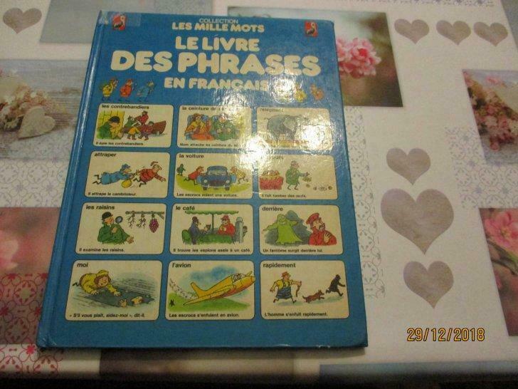 livre "le livre des phrases en francais". h.amery-k.folliot, Enlèvement ou Envoi, Utilisé
