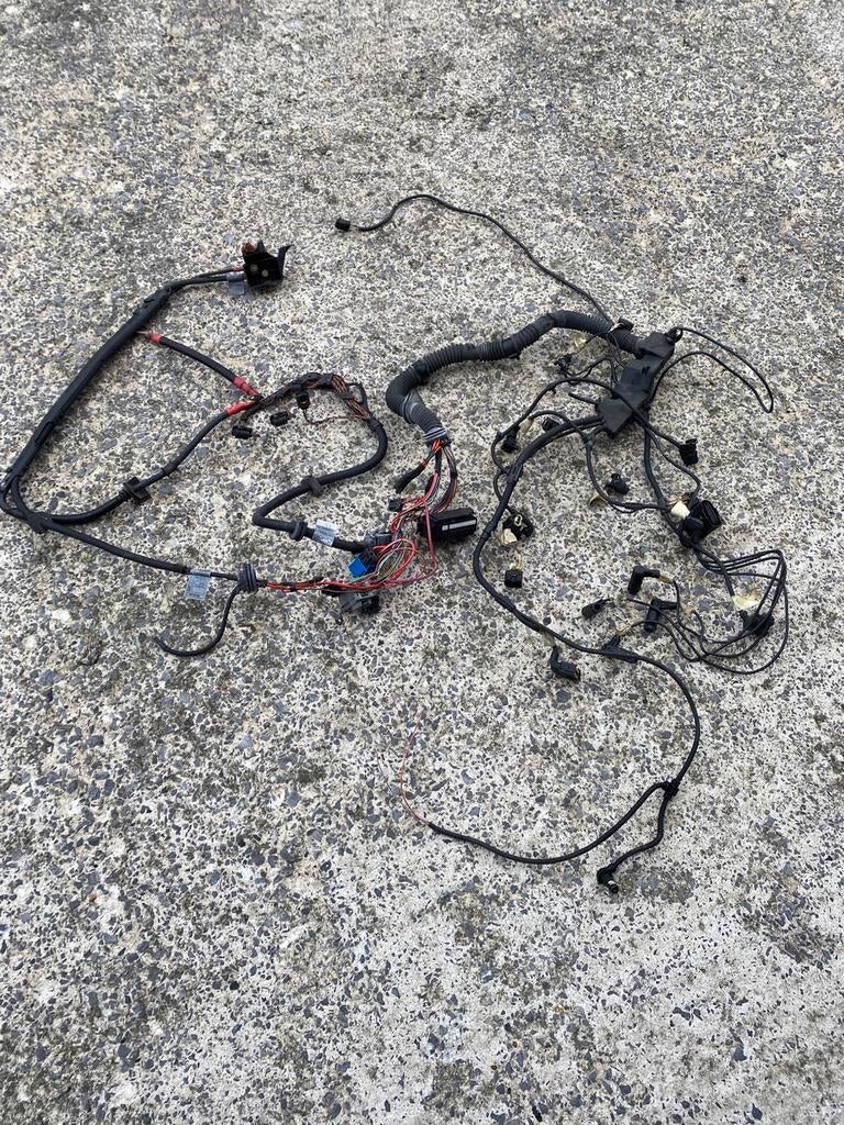 Faisceau de câblage pour moteur BMW E46 320d M47, Enlèvement, BMW