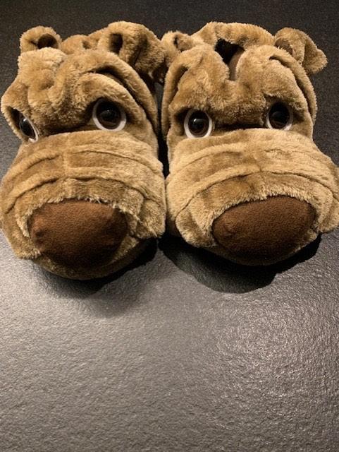 Pantoffels met hondensnoet: maat 44/46, Kleding | Heren, Schoenen, Bruin, Ophalen of Verzenden, Zo goed als nieuw, Pantoffels of Sloffen