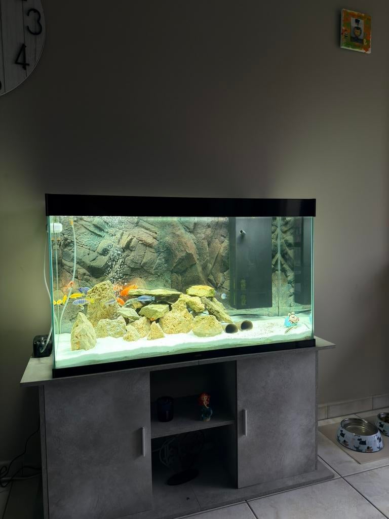 Aquarium + kast., Dieren en Toebehoren, Vissen | Aquaria en Toebehoren, Zo goed als nieuw, Ophalen
