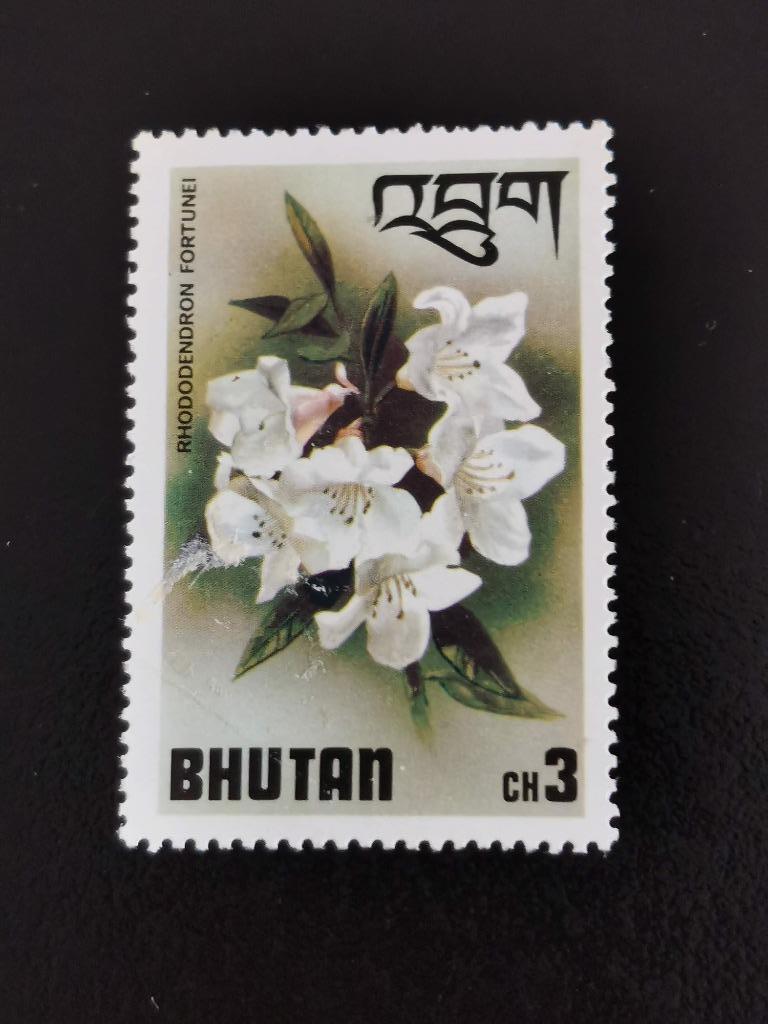 Bhutan 1976 - bloemen - Rhododendron, Ophalen of Verzenden, Postfris