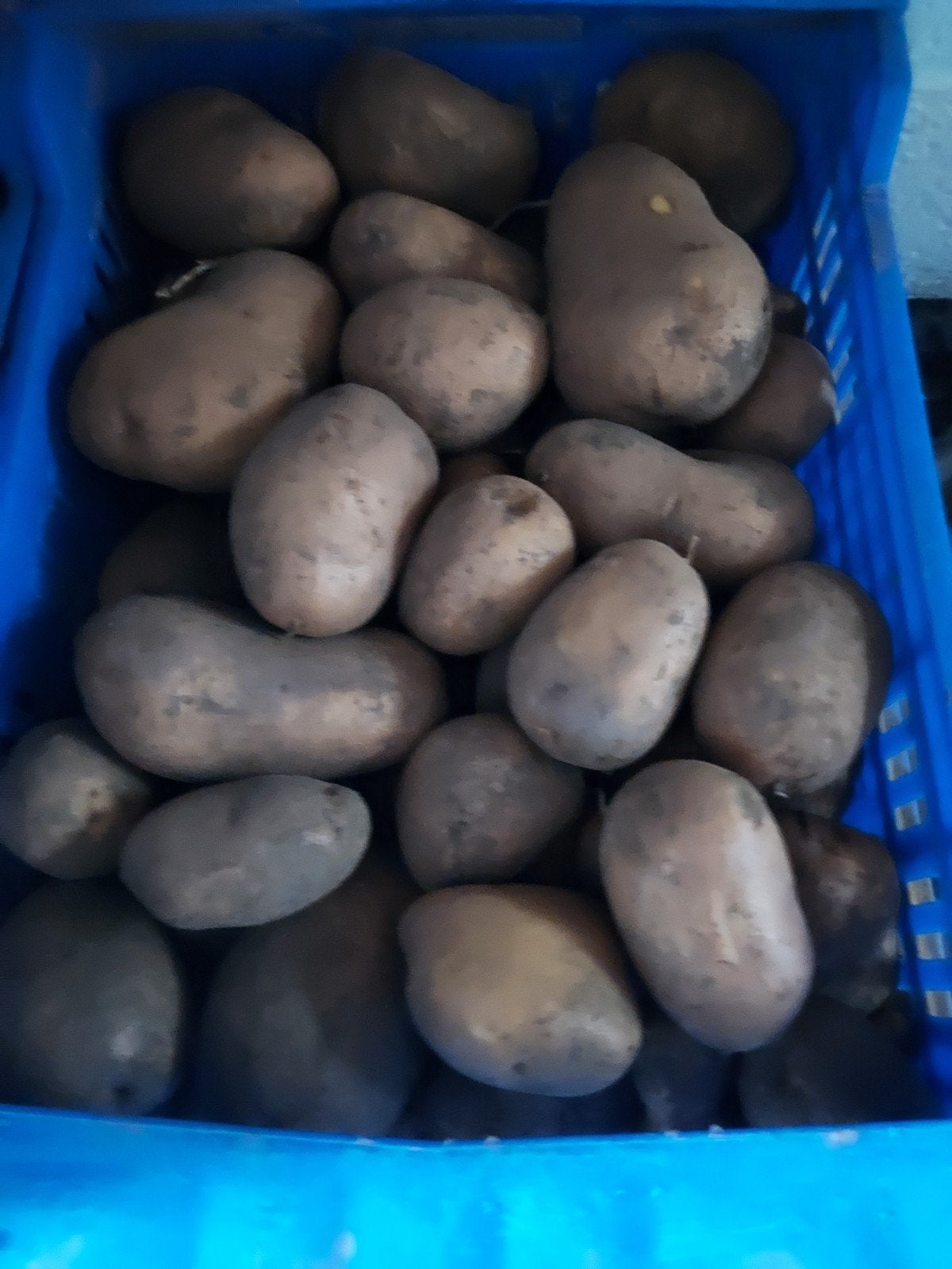 aardappelen jelle, Diversen, Ophalen
