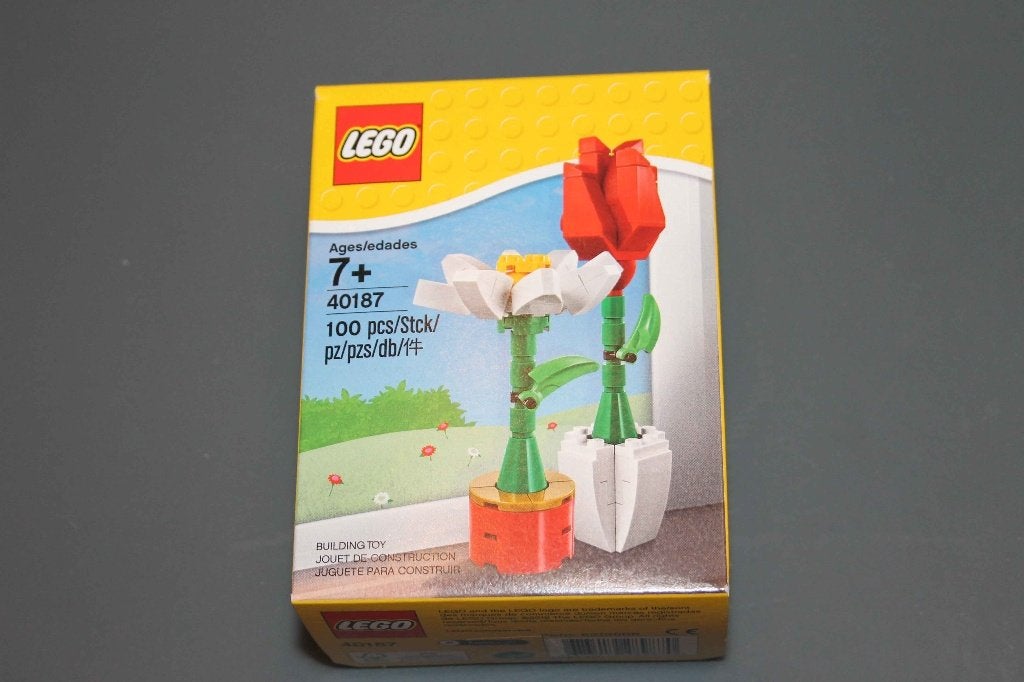 LEGO 40187 Flower Display, Overige thema's, Lego, Nieuw, Ophalen of Verzenden