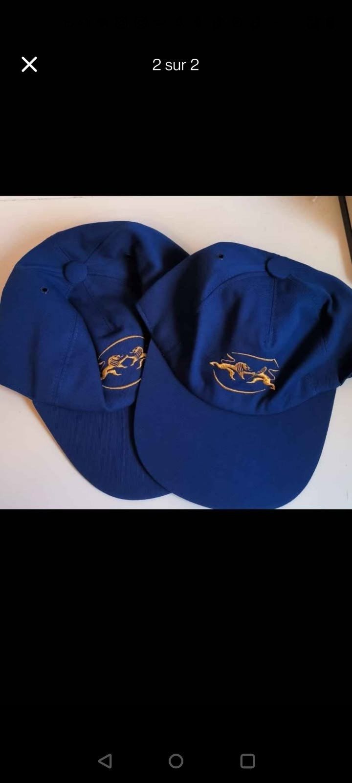Casquettes Wagons-lits, Collections, Enlèvement