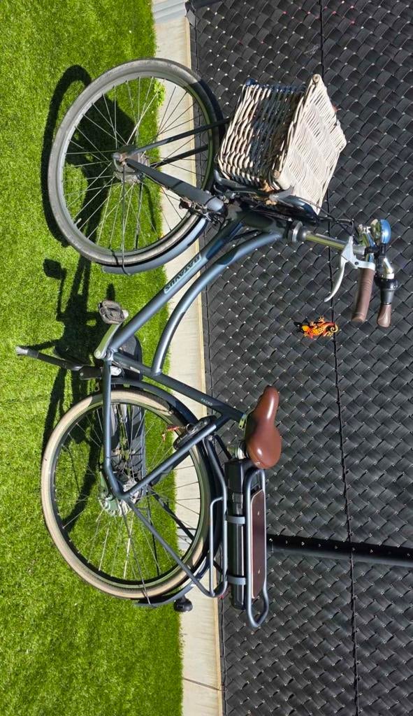 Elektrische fiets van het merk Batavus, Fietsen en Brommers, Ophalen, Gebruikt, Staal, Overige typen