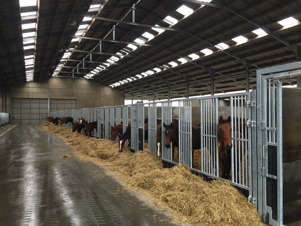 Voerwanden, opfokwand, Paardenboxen, paardenstallen, Dieren en Toebehoren, Stalling en Weidegang, Opfok, 4 paarden of pony's of meer