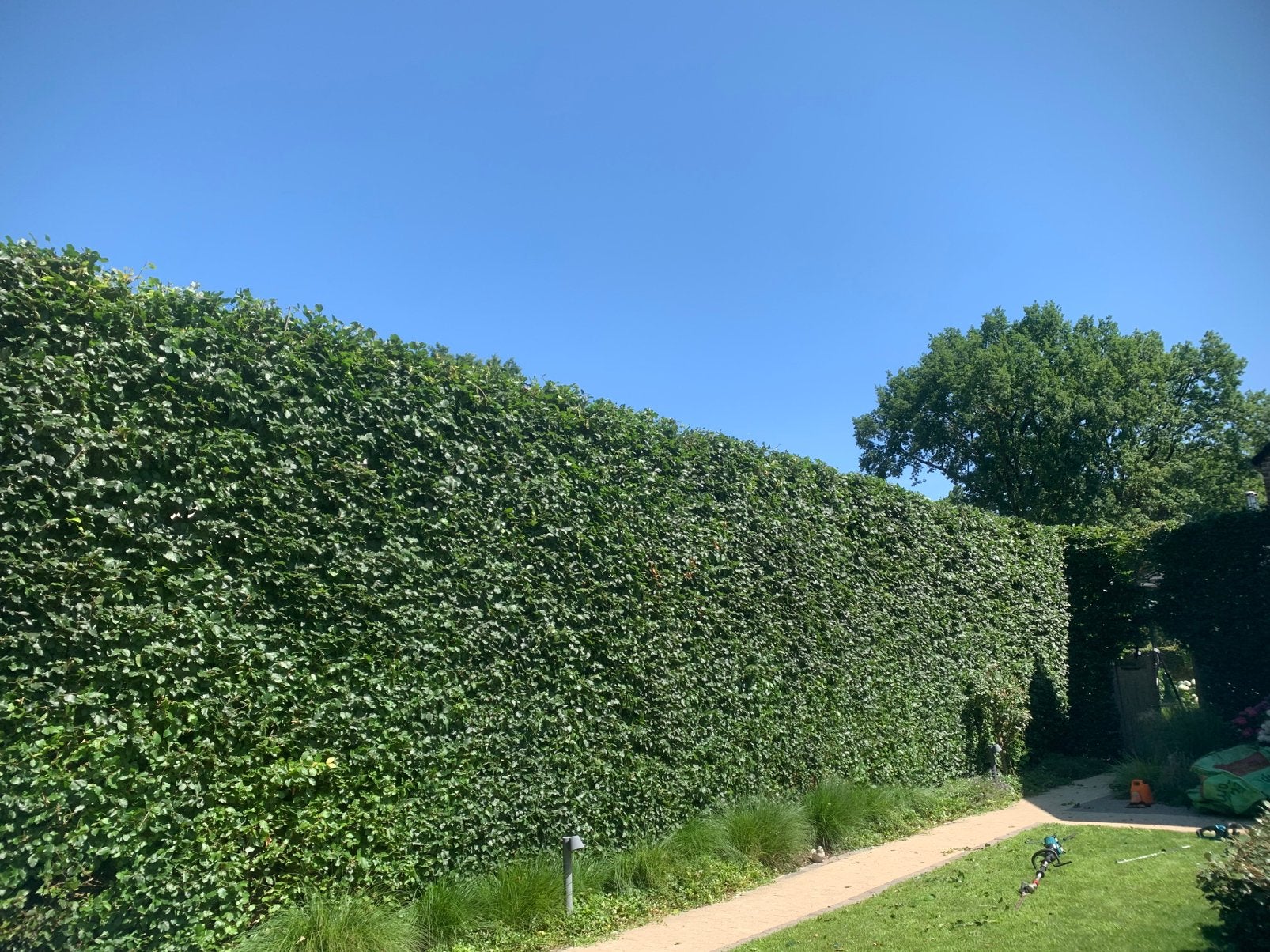 Reyma Tuinonderhoud, Tuin en Terras, Ophalen of Verzenden