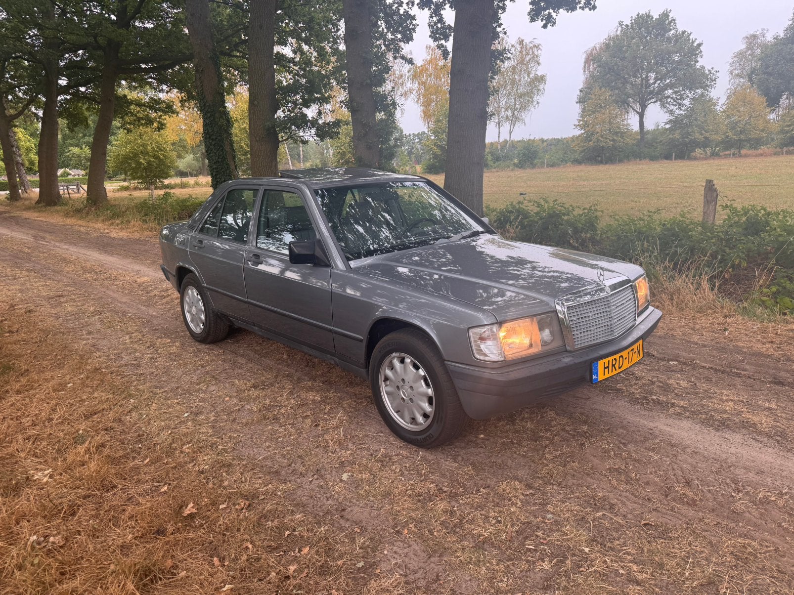 Mercedes-Benz 190 2.5 Diesel Automaat 1988, Auto's, Mercedes-Benz, Bedrijf, Grijs, 190-Serie, Zilver of Grijs