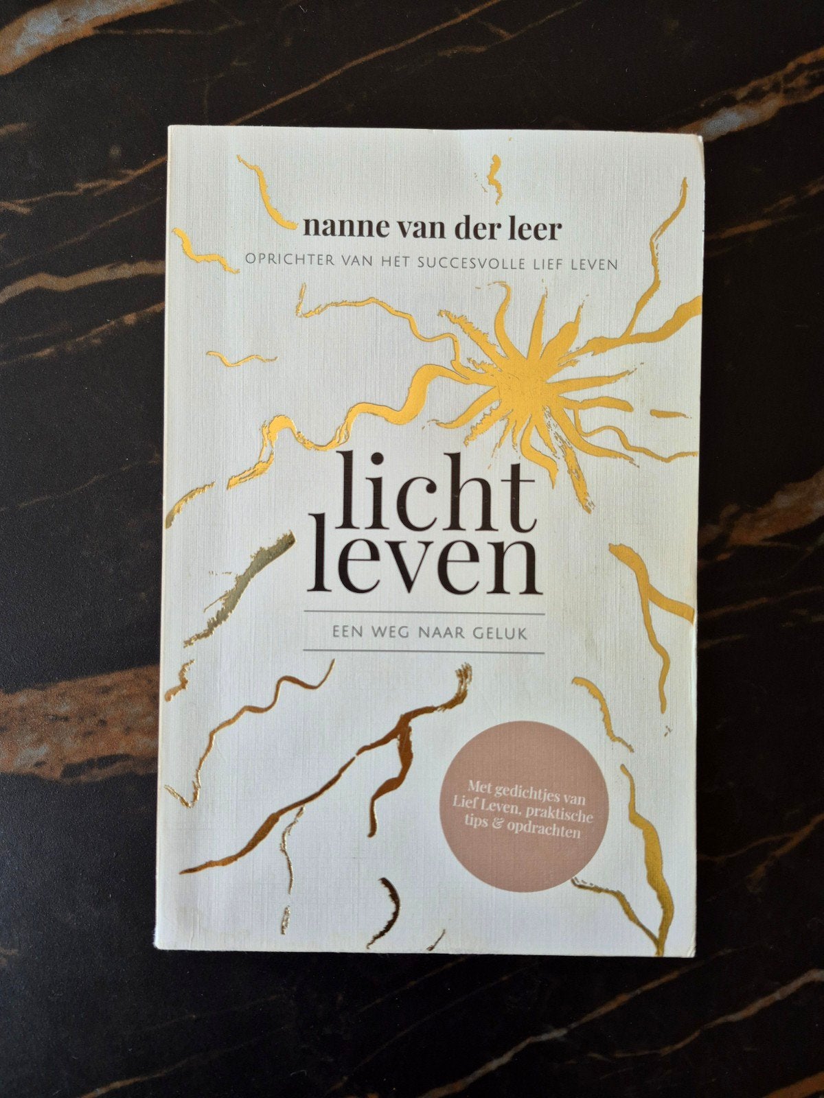 Nanne van der Leer - Licht Leven, Ophalen of Verzenden, Nanne van der Leer