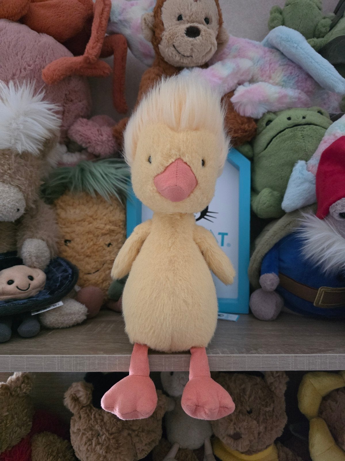 canard méduse, Enlèvement ou Envoi, Jellycat