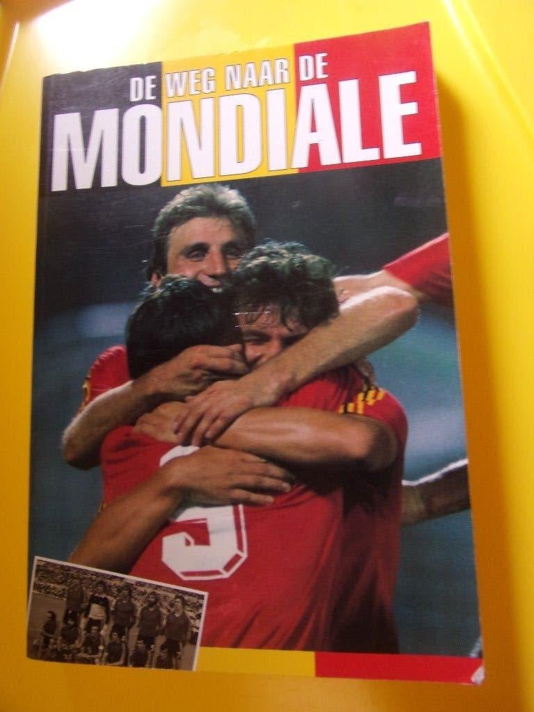 Voetbal : De weg naar de mondiale, Ophalen of Verzenden, Zo goed als nieuw, Balsport