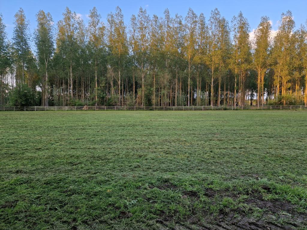 Weide met schuilstal te huur