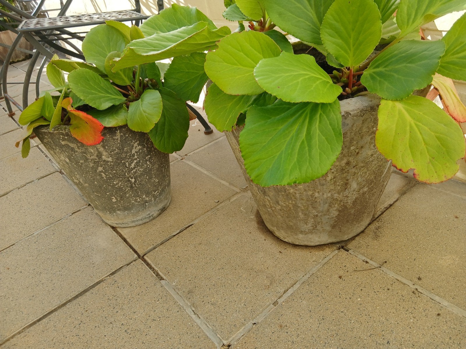 2 bloempotten, Ophalen