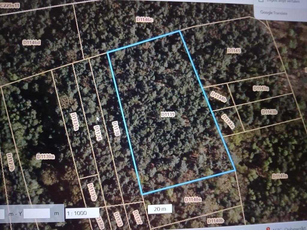 Bosgrond te koop in Houthalen