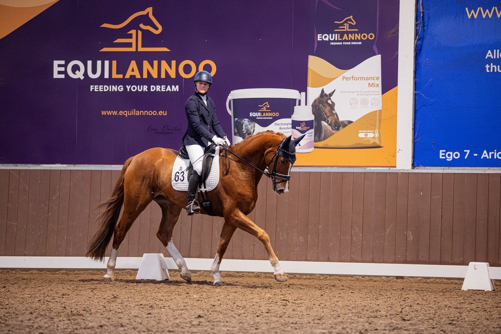 Zadelmak maken/ Trainingsstal, Enlèvement, Dressage