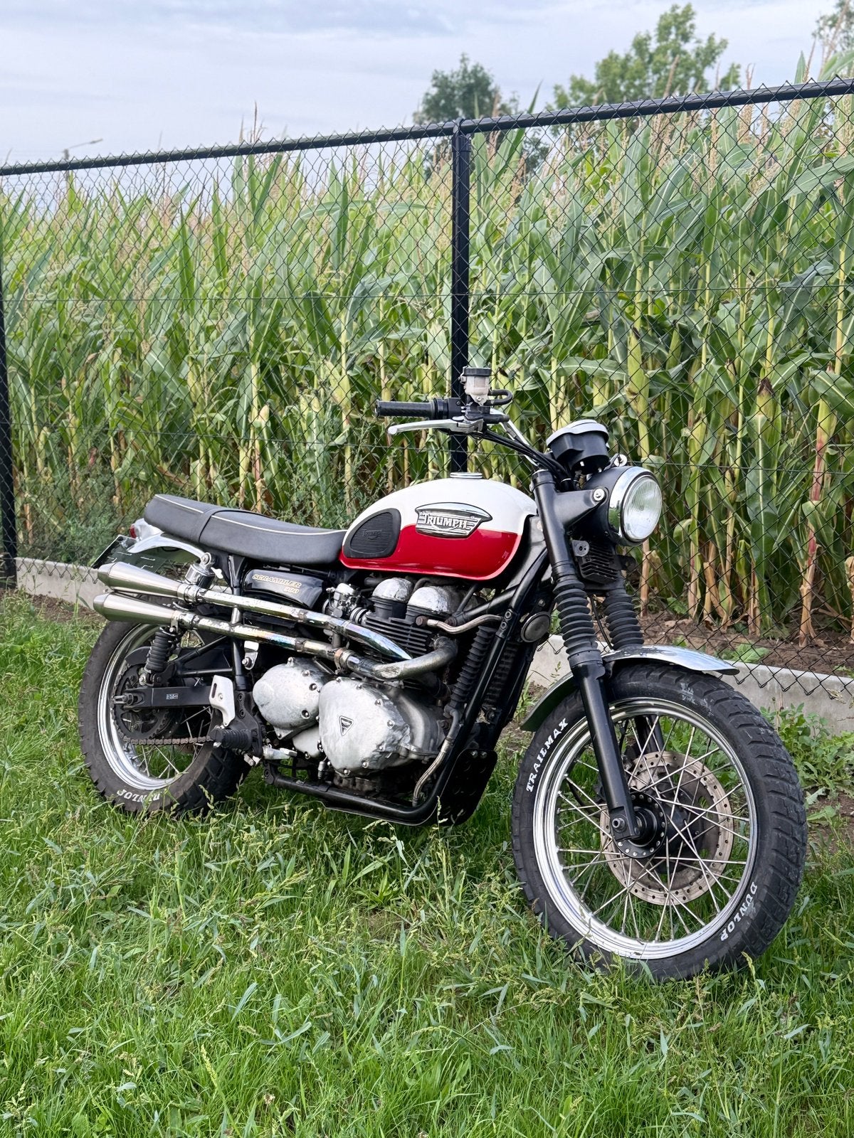 Triumph scrambler 900, Enlèvement