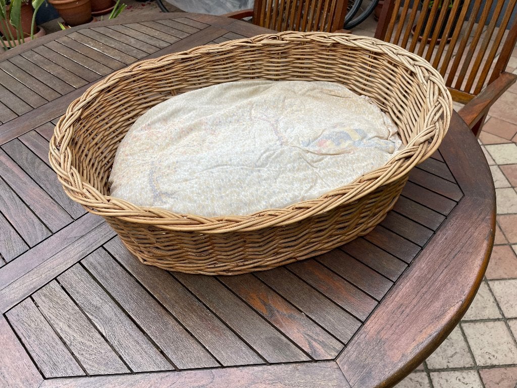 Hondenmand, Dieren en Toebehoren, Ophalen, Gebruikt, Riet