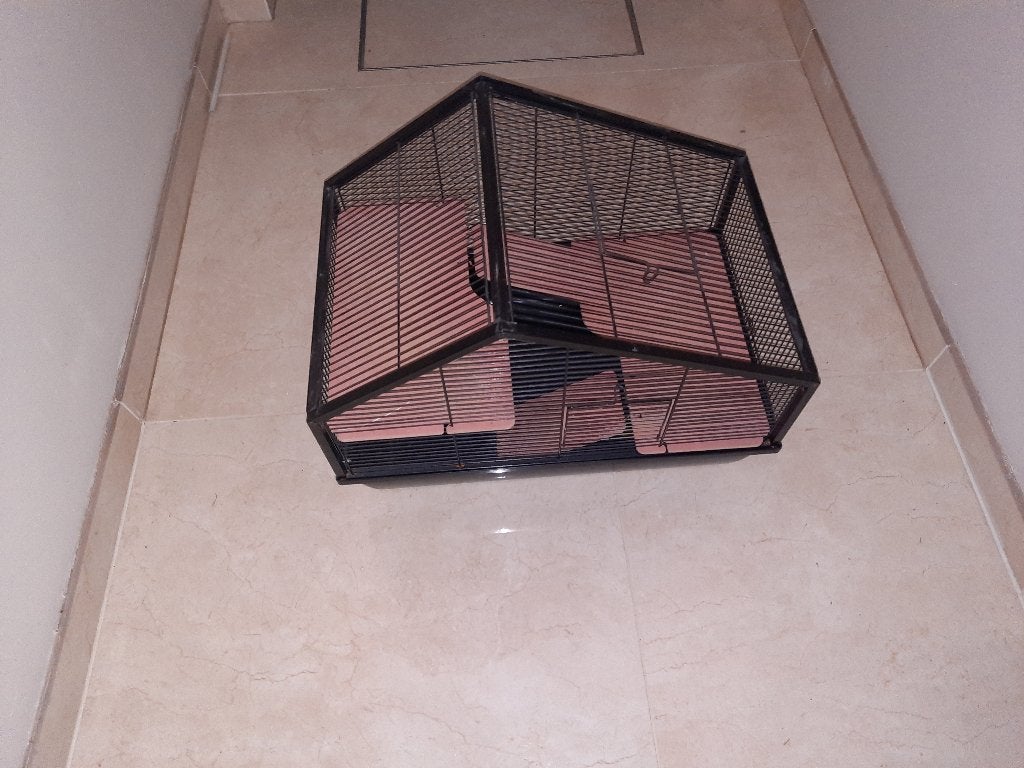 Luxe hamster, ratten kooi, Dieren en Toebehoren, Ophalen, Gebruikt, Kooi, Cavia