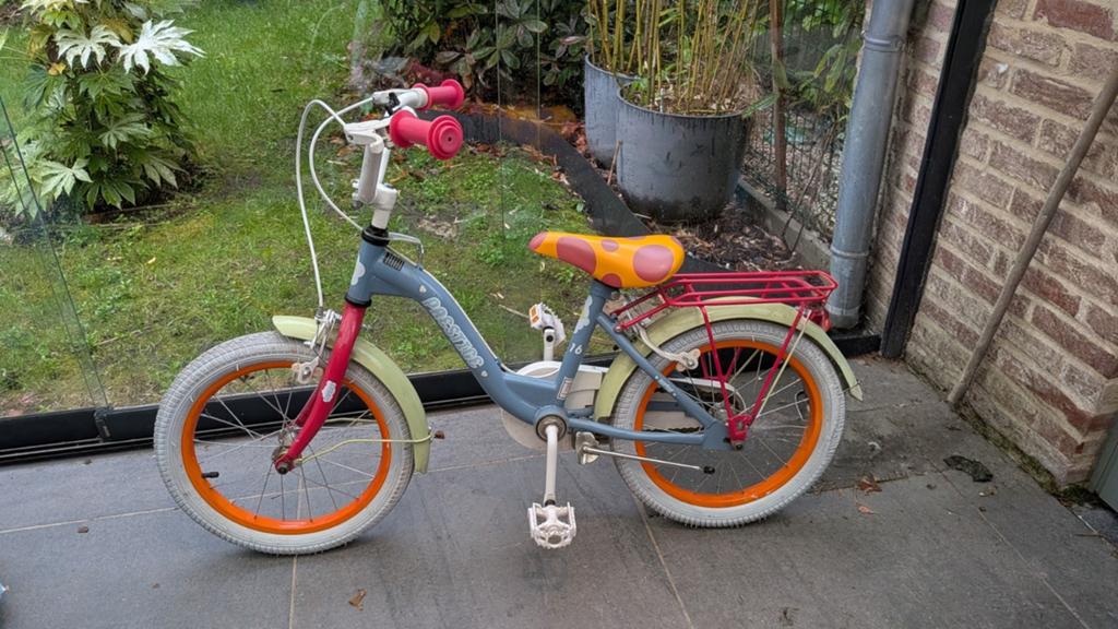 Mooie meisjesfiets 4 tot 6 jaar - 16 inch, Ophalen