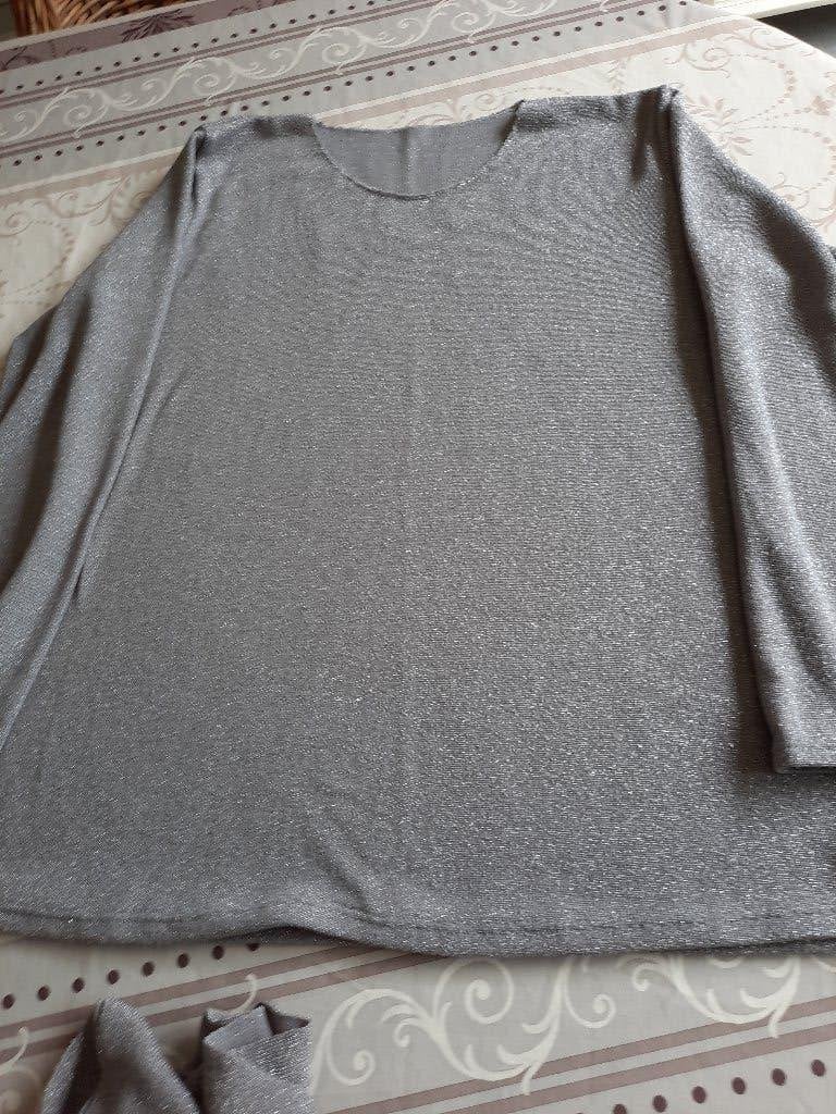mooi truitje met bijhorende sjaal, Kleding | Dames, Ophalen of Verzenden, Gedragen, Maat 42/44 (L), Grijs