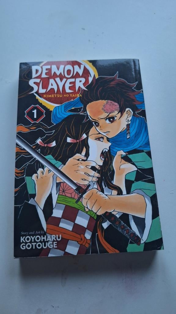 Demon Slayer, vol. 1 Engels, Ophalen of Verzenden, Zo goed als nieuw