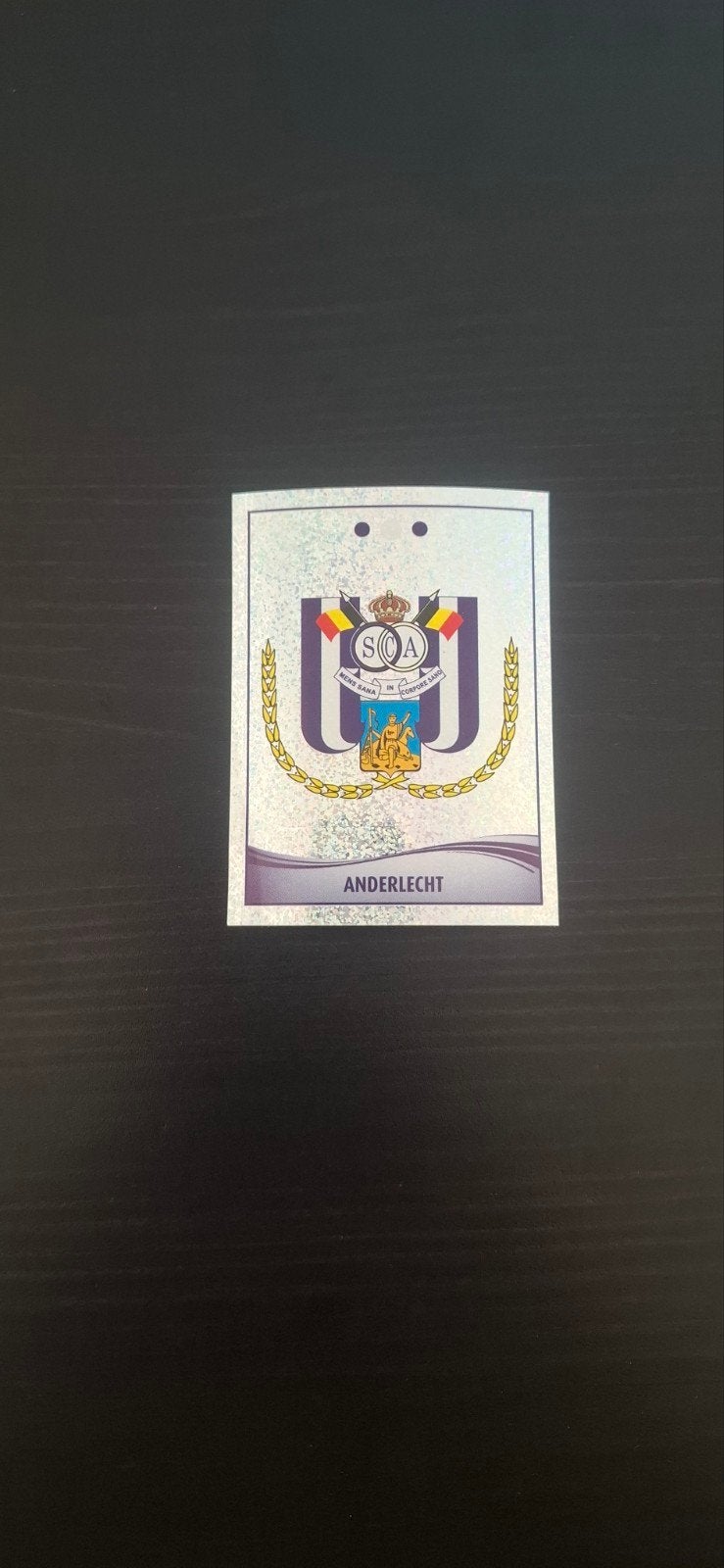 Panini voetbal 2010, Ophalen of Verzenden