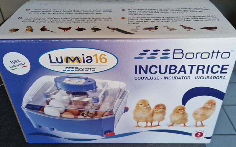 Lumia 16 Borotto broedmachine (met 8 gratis broedeieren), Ophalen, Zo goed als nieuw, Broedmachine