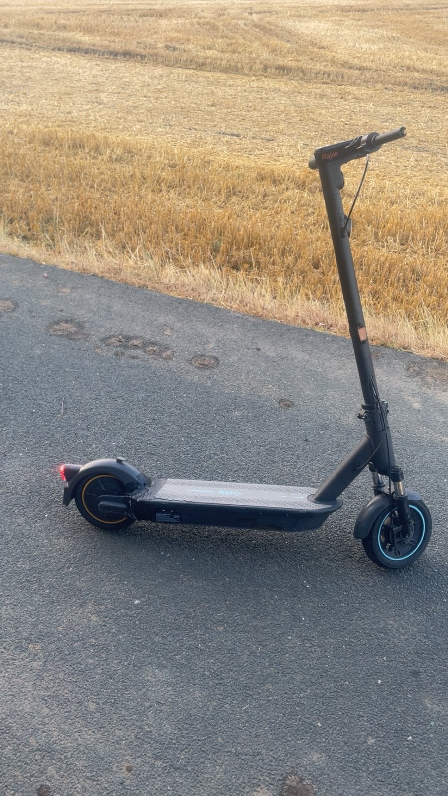 Elektrische step Ninebot – klaar voor gebruik, Ophalen, Gebruikt, Elektrische step (E-scooter)