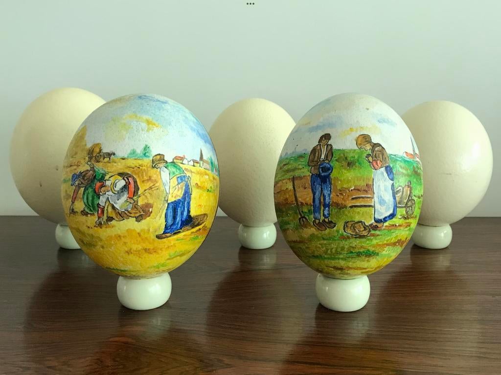 4 x struisvogelei struisvogel ei beschilderd decor, Ophalen of Verzenden