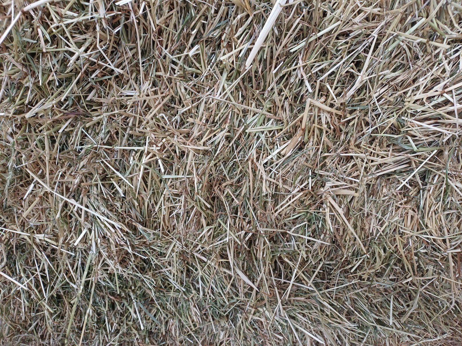 Kleine balen hooi, Dieren en Toebehoren, Dierenvoeding, Ophalen of Verzenden