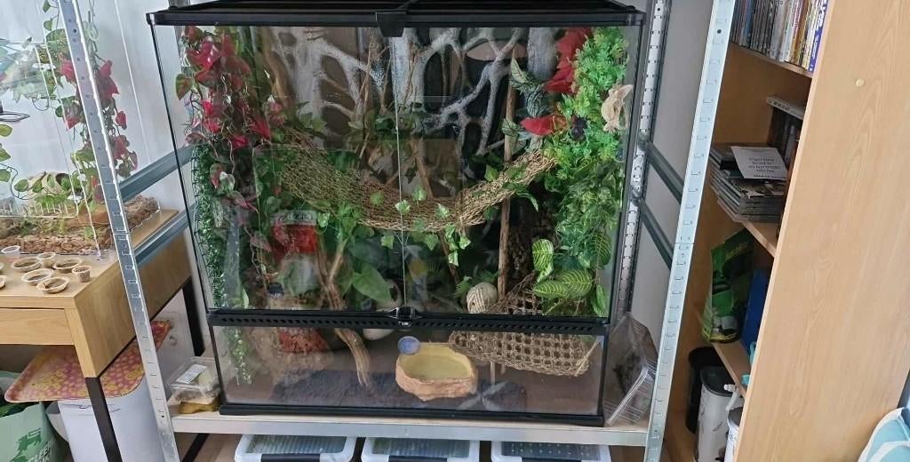 terrarium, Dieren en Toebehoren, Ophalen, Gebruikt, Terrarium of Paludarium