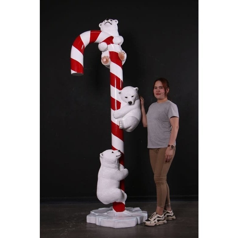 Ours polaires en canne à sucre - 185 cm - Canne à sucre
