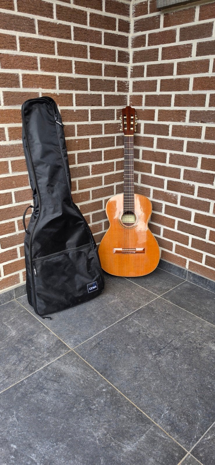 gitaar met hoes, Muziek en Instrumenten, Ophalen