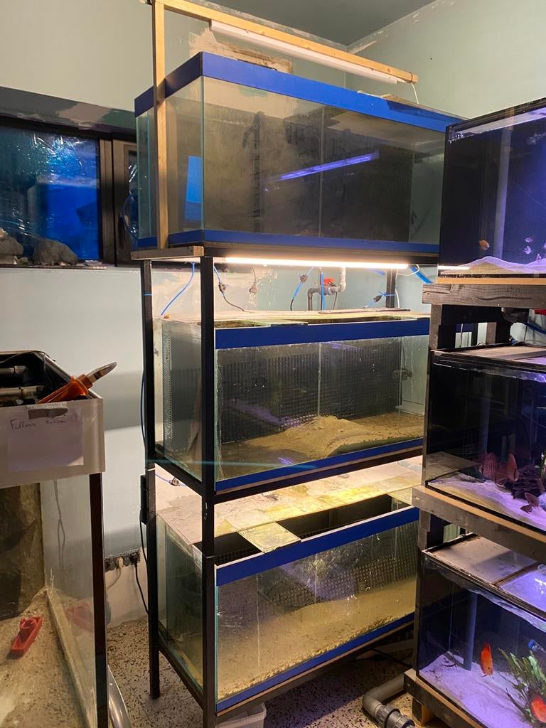 Driedelige aquarium stelling - metalen frame, Dieren en Toebehoren, Ophalen, Gebruikt, Leeg aquarium