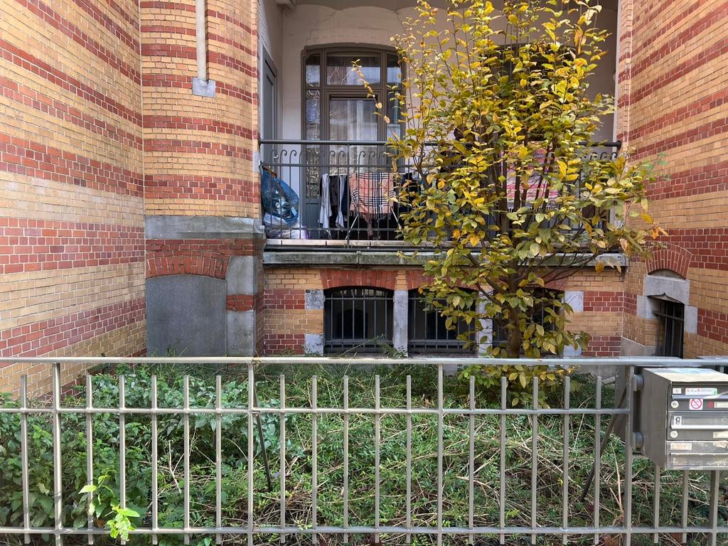 Jardinage entretien nettoyage élagage desouchage, Enlèvement, Comme neuf