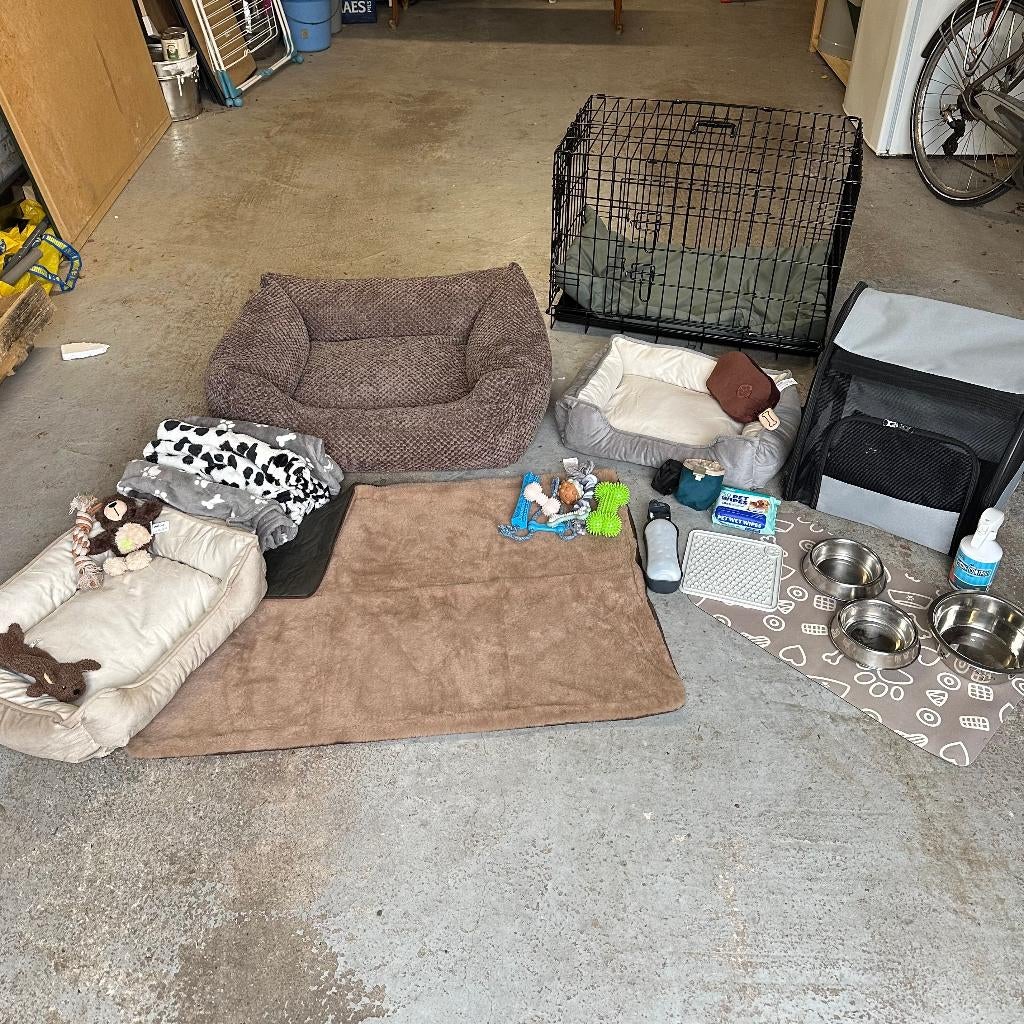 Starterspakket hond, Animaux & Accessoires, Accessoires pour chiens, Neuf, Enlèvement