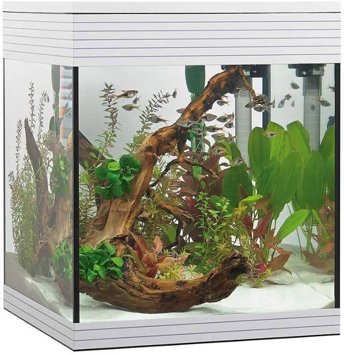 Askoll pure led aquarium kit M- Italiaans design- made in EU, Dieren en Toebehoren, Ophalen, Pomp, Nieuw, Overige merken