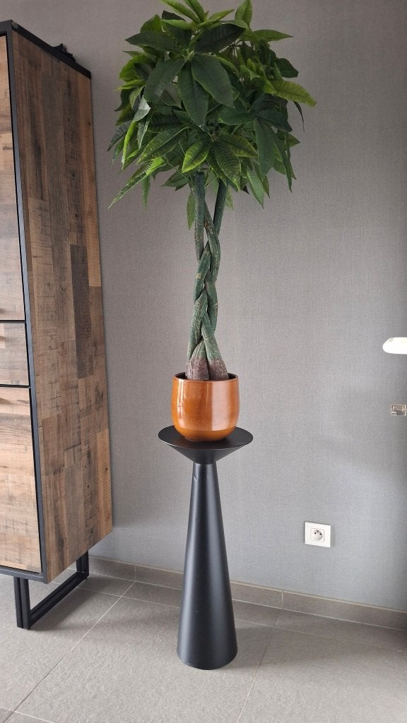 KUNSTPLANT + POT + TAFELTJE, Huis en Inrichting, Woonaccessoires | Kunstplanten en Kunstbloemen, Ophalen, Zo goed als nieuw, Kunstplant