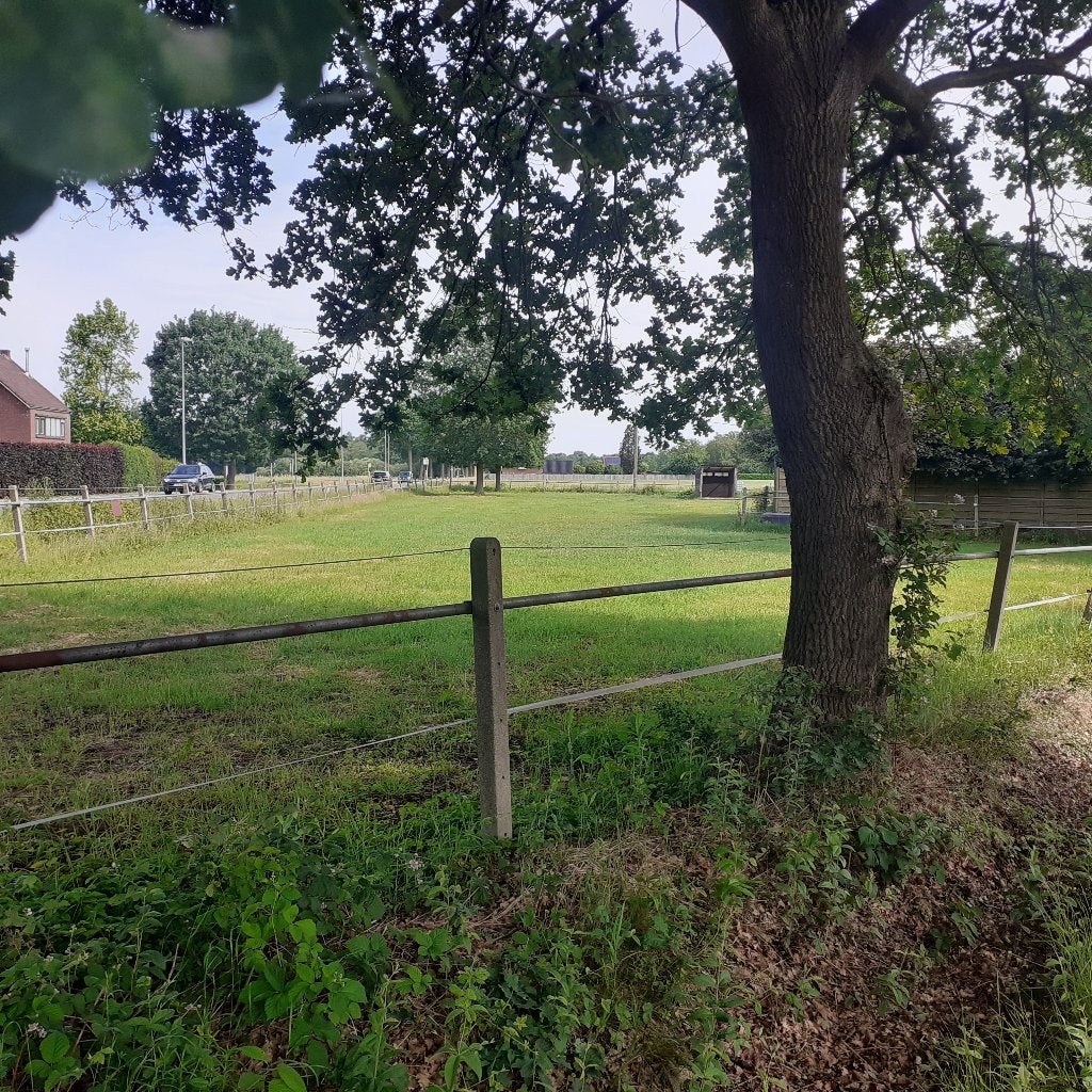 Weide te huur, Dieren en Toebehoren, Weidegang, 1 paard of pony