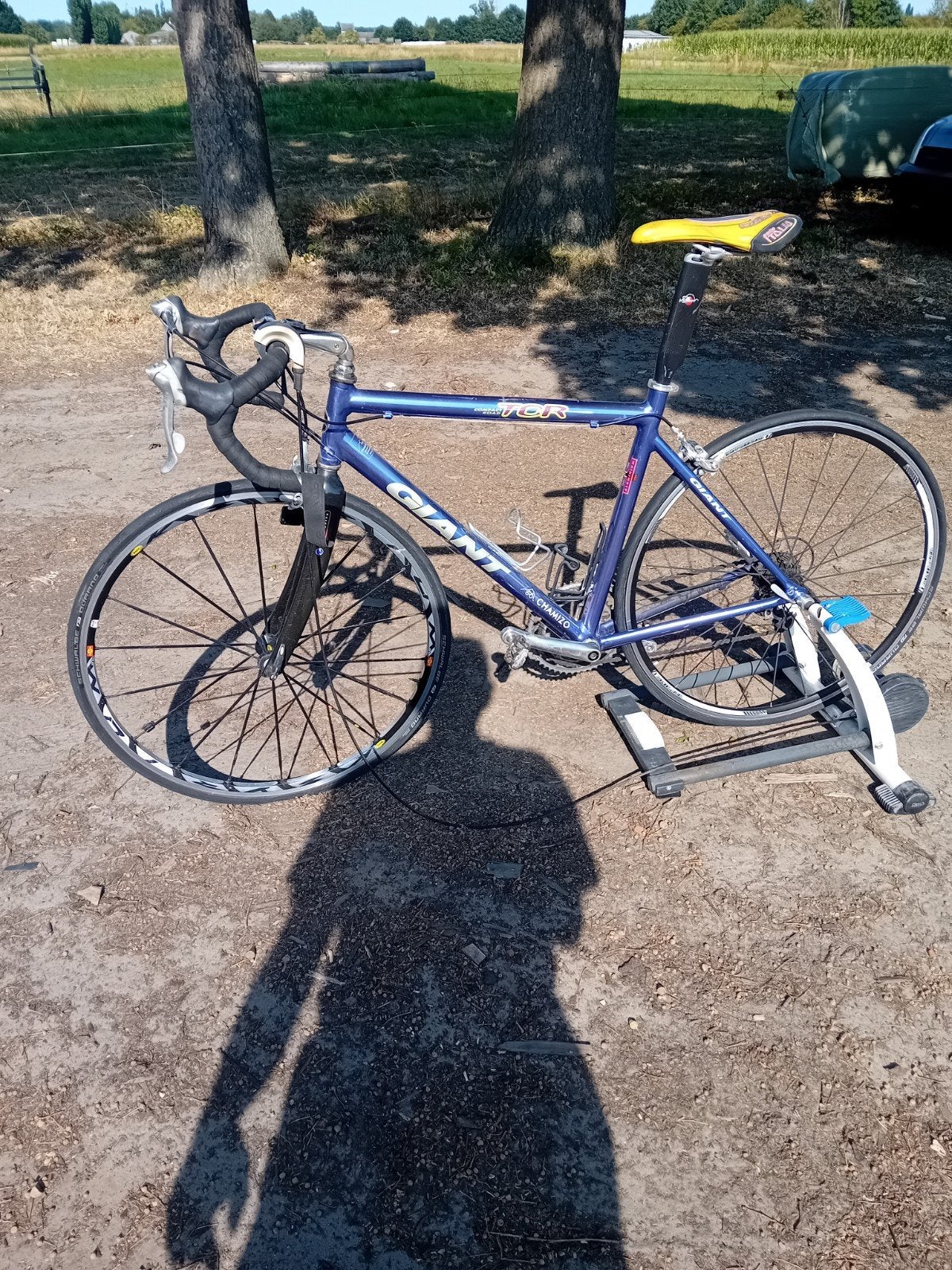 koersfiets met rollenbank, Ophalen, Giant