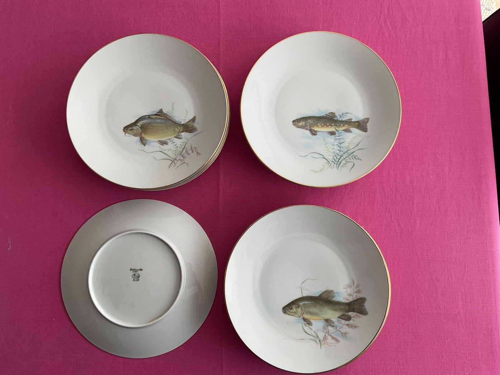 11 assiettes à poisson avec bordure dorée, Enlèvement, Comme neuf