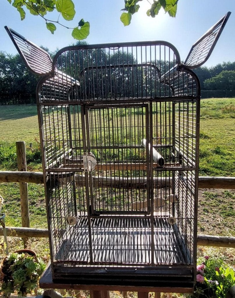 Cage à oiseaux en métal de 90 cm - 55 cm  - 42 cm, Enlèvement, Utilisé, Métal, Cage à oiseaux
