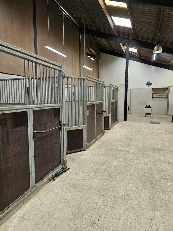 Tresforte paardenboxen, Dieren en Toebehoren